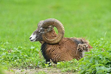 E3 2021：《缩小世界》预告 探索奇特世界求生存